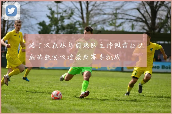 诺丁汉森林与前狼队主帅佩雷拉达成执教协议迎接新赛季挑战