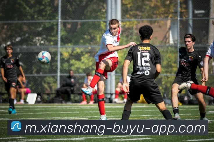 捕鱼达人服务体系